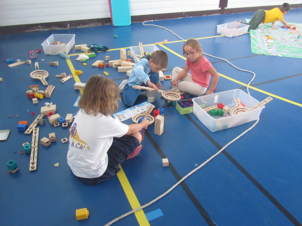 jeux en bois de construction, Pichenette et compagnie